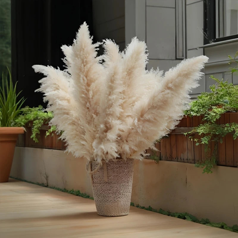 Sage Theme Decor Rental for Events @ $149 Including Six Items to cover your special moments