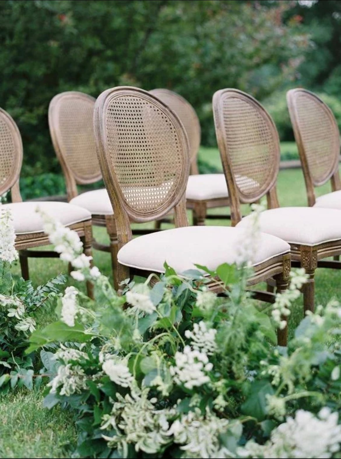 Elegant Vintage Upholstered Chair Set for Events, Party and Decor Rental